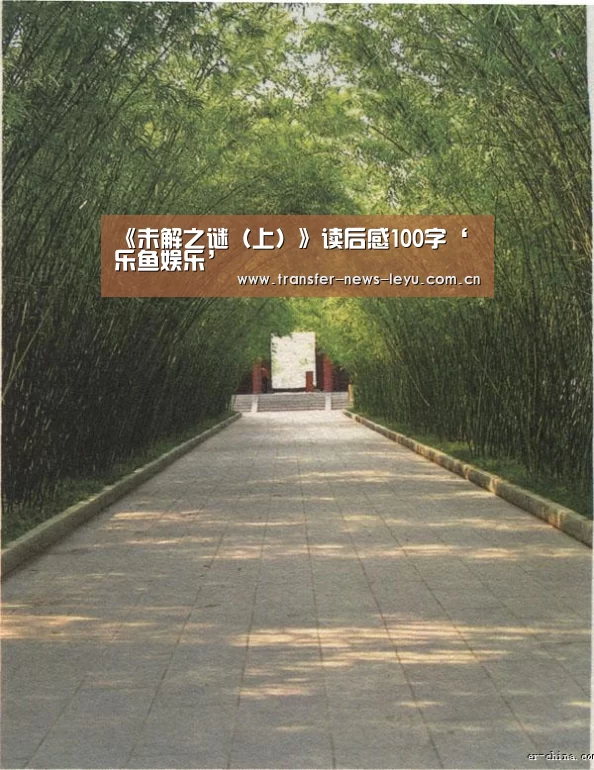 《未解之谜(上)》读后感100字‘乐鱼娱乐’(图2) 乐鱼体育