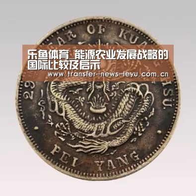 乐鱼体育_能源农业发展战略的国际比较及启示(图1) 乐鱼娱乐