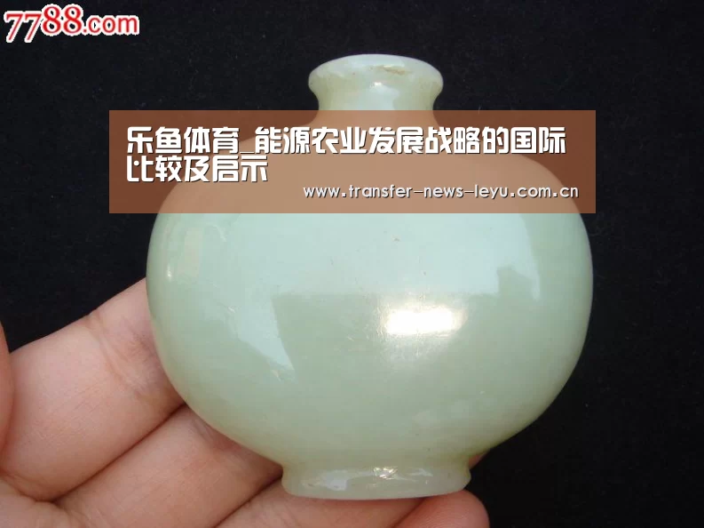 乐鱼体育_能源农业发展战略的国际比较及启示(图2) 乐鱼娱乐