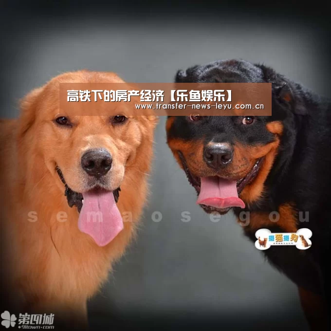 乐鱼体育