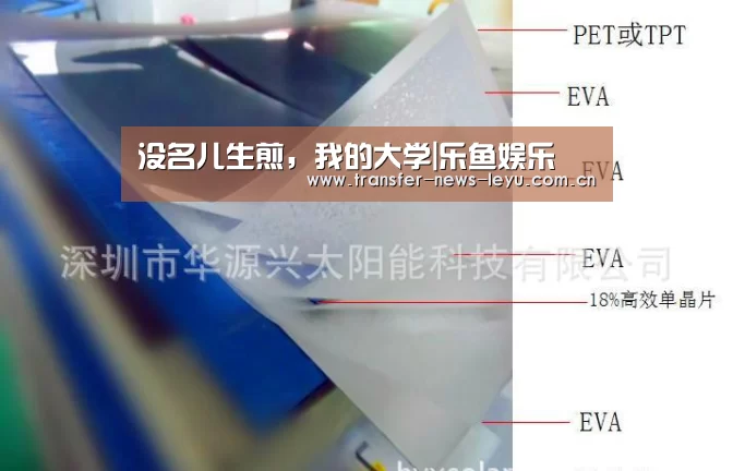 没名儿生煎,我的大学|乐鱼娱乐(图1) 乐鱼娱乐